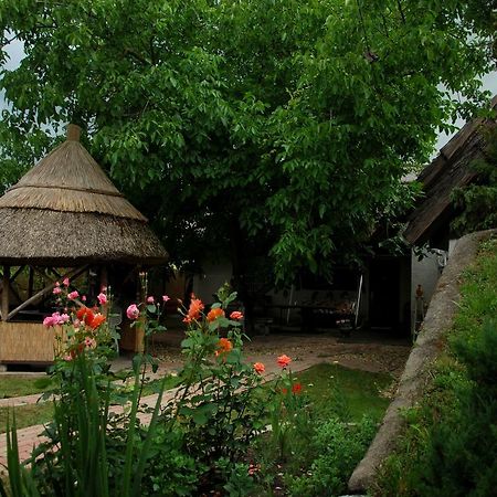 Natura Vendeghaz Pazmand Экстерьер фото